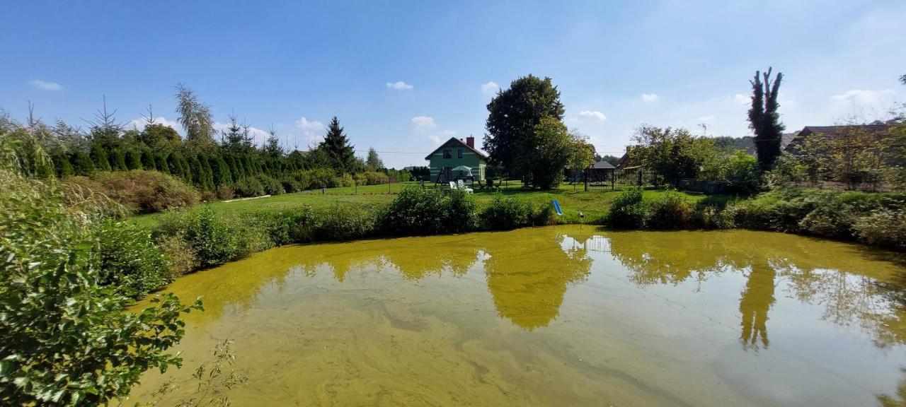 Villa Agroturystyka Zielony Zakatek Grudna Exterior foto